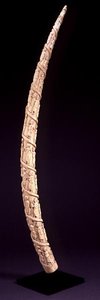 Utskåret elefantbrosme, Loango, Kongo (se også 142547)